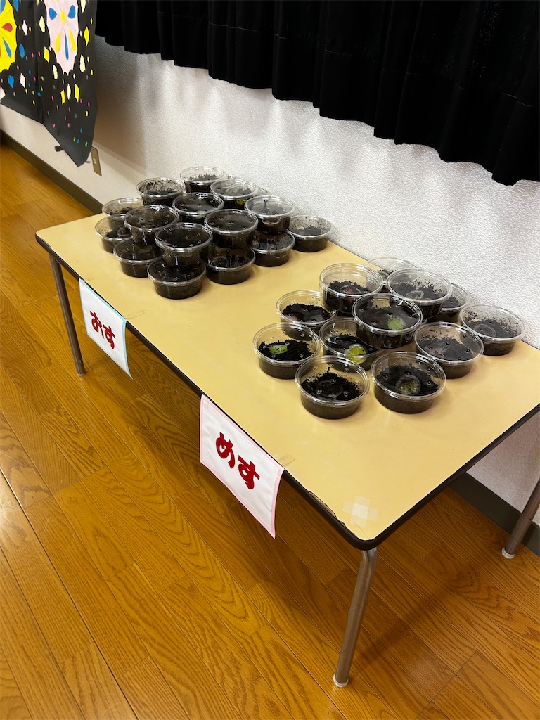 f:id:candyhimawari391:20250828004214j:image