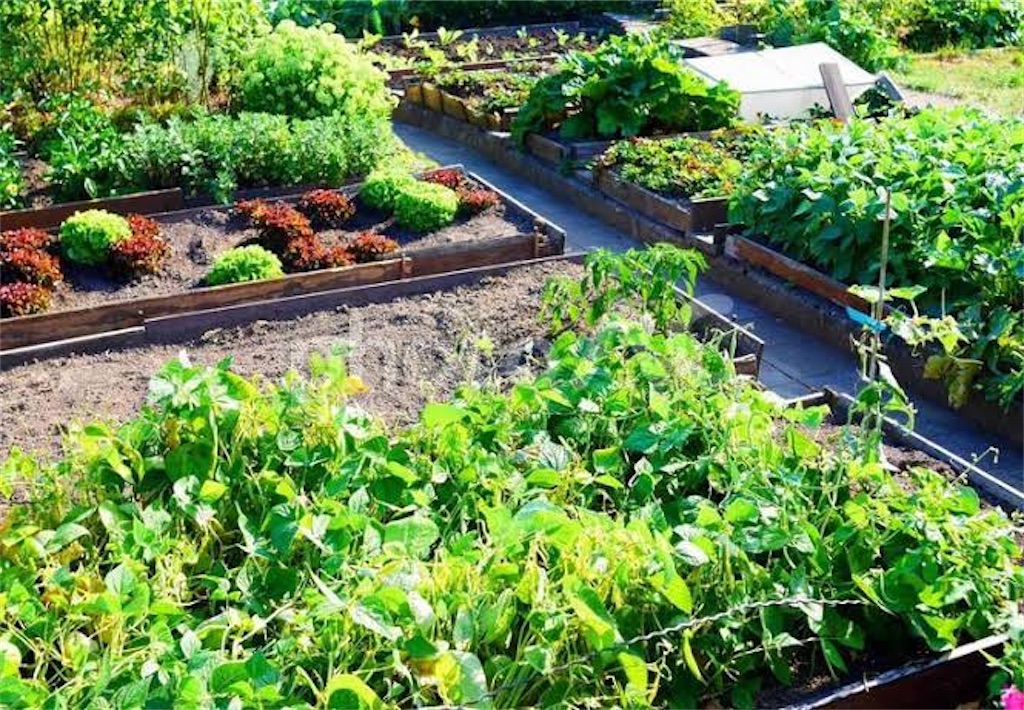 f:id:candyhimawari391:20250831073807j:image