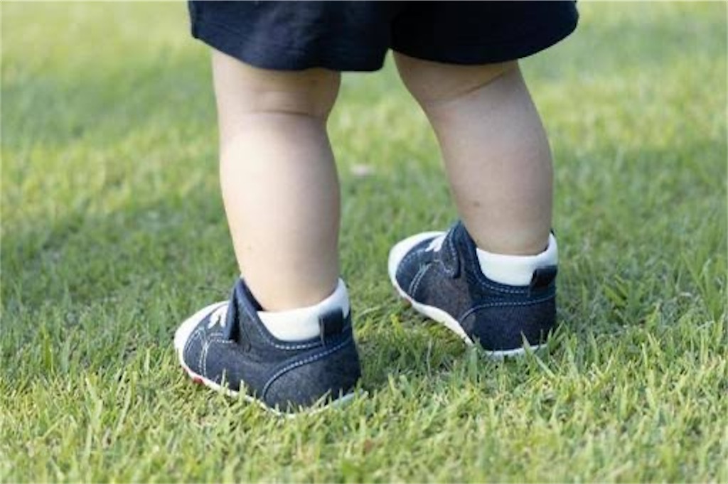 f:id:candyhimawari391:20250831074123j:image