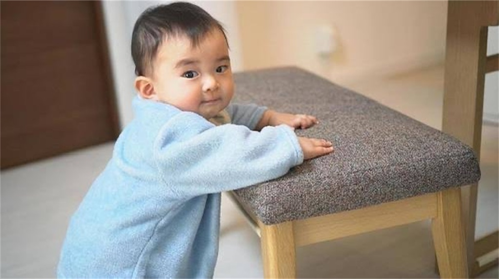 f:id:candyhimawari391:20250831074157j:image