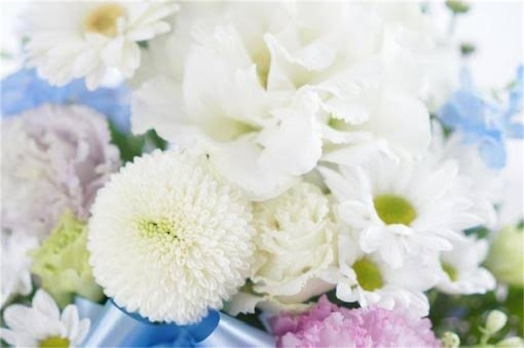 f:id:candyhimawari391:20250831074633j:image