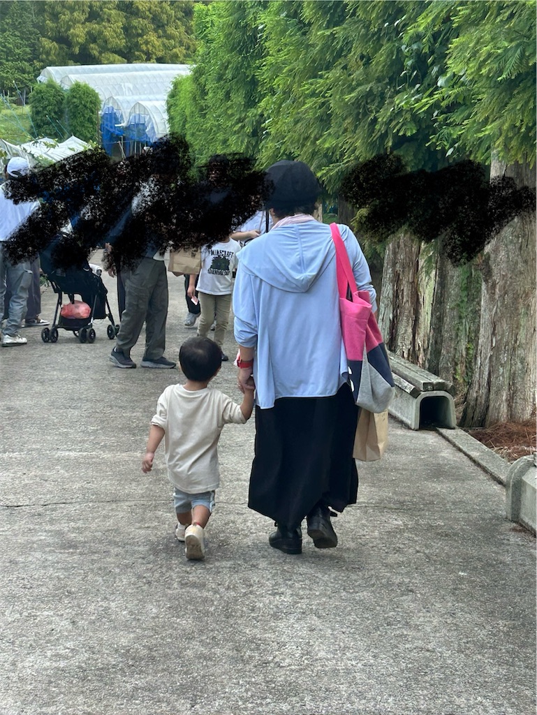 f:id:candyhimawari391:20250916220311j:image