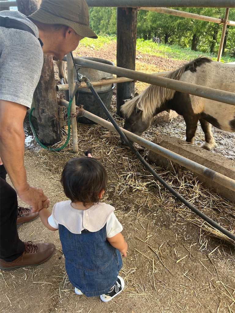 f:id:candyhimawari391:20250916220505j:image