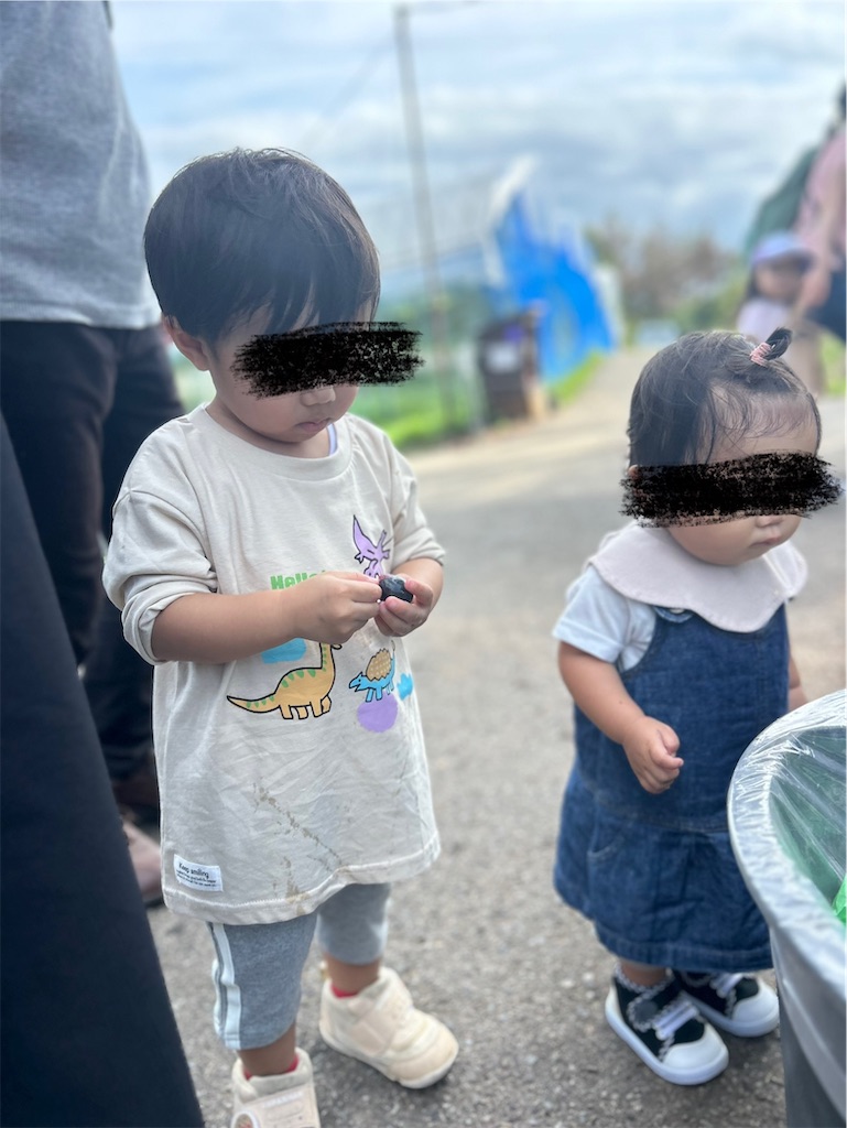 f:id:candyhimawari391:20250916220528j:image