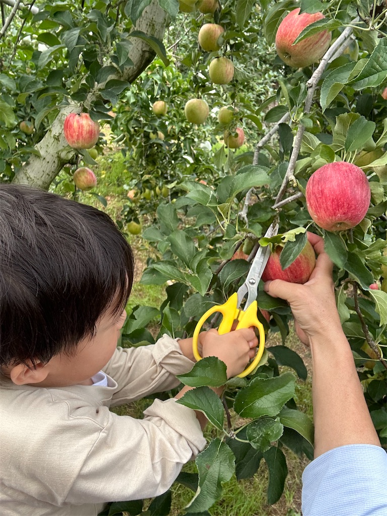 f:id:candyhimawari391:20250916220727j:image