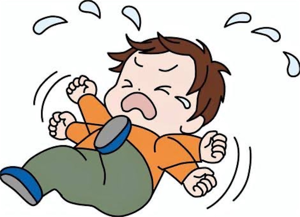 f:id:candyhimawari391:20250917223651j:image