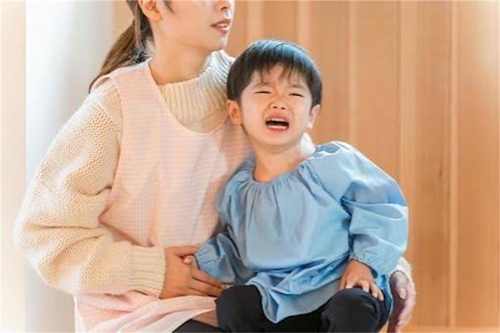 f:id:candyhimawari391:20250917223733j:image