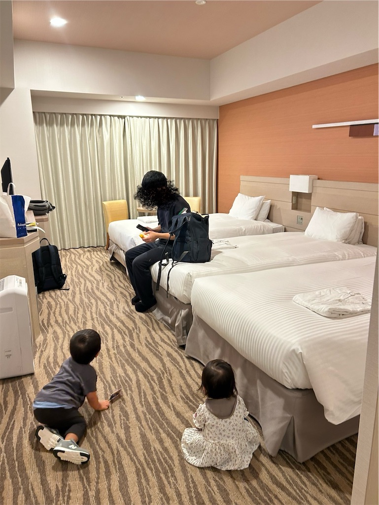 f:id:candyhimawari391:20251116151203j:image