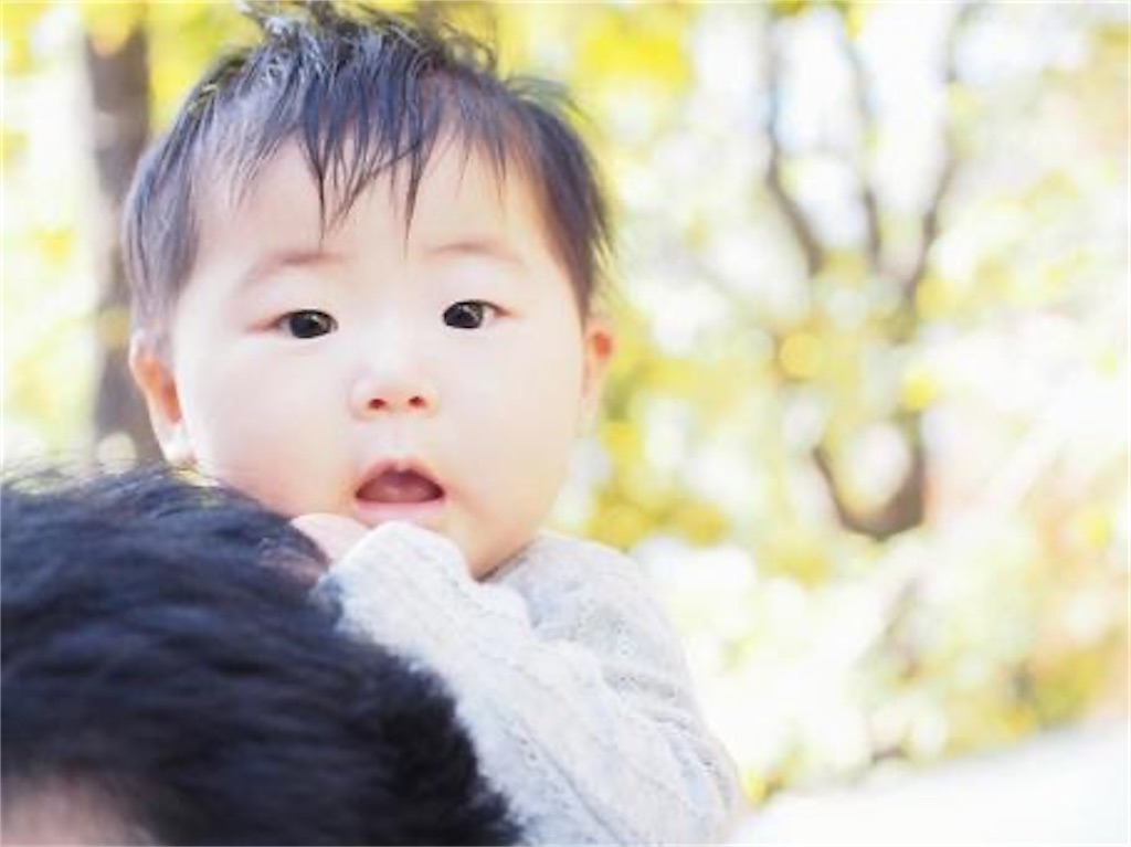 f:id:candyhimawari391:20260105183351j:image