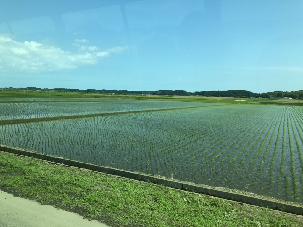 f:id:candyken:20180530140034j:plain