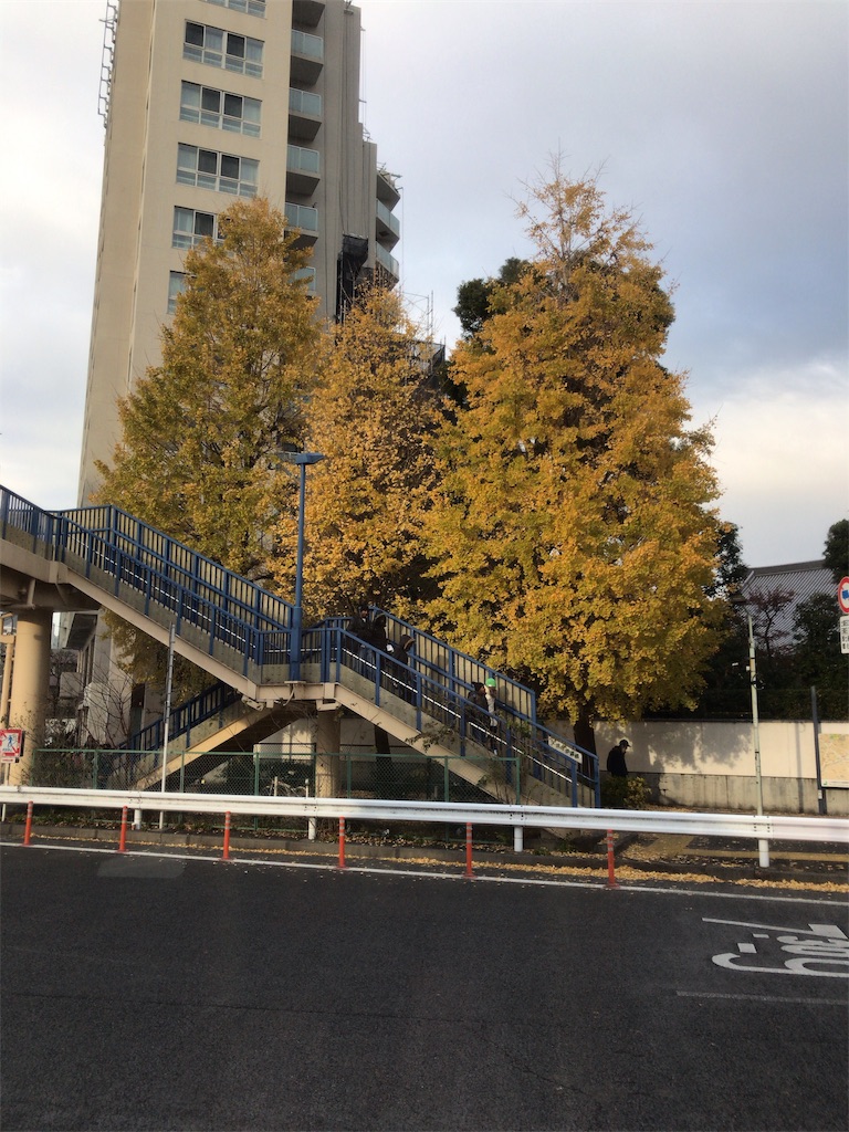 f:id:candysearchlight:20181216234933j:image