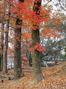 f:id:cangael:19800101000057j:image:left f:id:cangael:19800101000057j:image:left