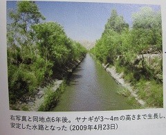 f:id:cangael:19800101000112j:image:right