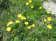 f:id:cangael:20090613204829j:image f:id:cangael:20090613204829j:image