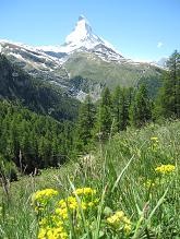 f:id:cangael:20090613205204j:image