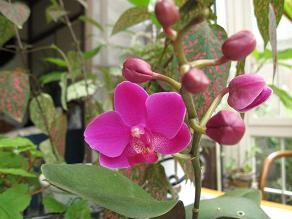 f:id:cangael:20090828064243j:image