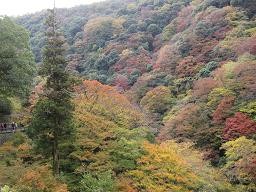 f:id:cangael:20091120131244j:image
