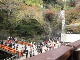 f:id:cangael:20091120134204j:image