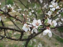 f:id:cangael:20100320145229j:image