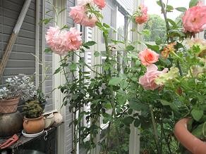 f:id:cangael:20100510123415j:image f:id:cangael:20100510123415j:image