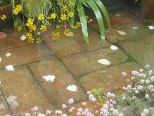 f:id:cangael:20100523162657j:image f:id:cangael:20100523162657j:image