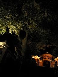 f:id:cangael:20100604203503j:image