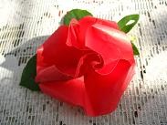 f:id:cangael:20100701163215j:image