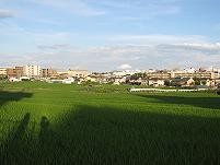 f:id:cangael:20100719182338j:image
