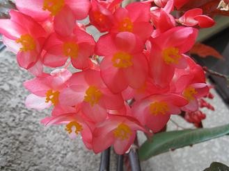 f:id:cangael:20100731115131j:image f:id:cangael:20100731115131j:image