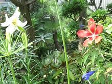 f:id:cangael:20100815114454j:image