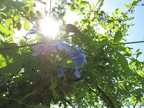 f:id:cangael:20100910103223j:image