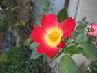 f:id:cangael:20101012135849j:image f:id:cangael:20101012135849j:image