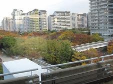 f:id:cangael:20101121153041j:image f:id:cangael:20101121153041j:image