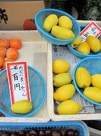 f:id:cangael:20101127132611j:image