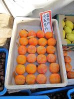 f:id:cangael:20101127145249j:image f:id:cangael:20101127145249j:image
