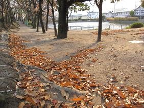 f:id:cangael:20101223151248j:image