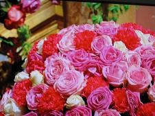 f:id:cangael:20110101202928j:image