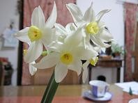 f:id:cangael:20110311095152j:image