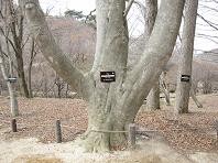 f:id:cangael:20110325103751j:image