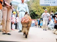 f:id:cangael:20110415181556j:image