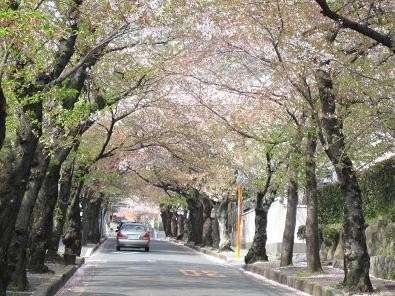 f:id:cangael:20110416143247j:image f:id:cangael:20110416143247j:image