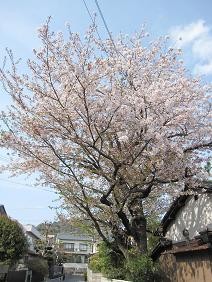 f:id:cangael:20110416152423j:image f:id:cangael:20110416152423j:image