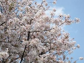 f:id:cangael:20110416152437j:image f:id:cangael:20110416152437j:image