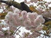 f:id:cangael:20110424150735j:image f:id:cangael:20110424150735j:image