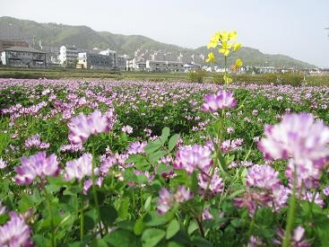 f:id:cangael:20110502153057j:image:right f:id:cangael:20110502153057j:image:right