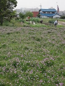 f:id:cangael:20110503151653j:image:left f:id:cangael:20110503151653j:image:left