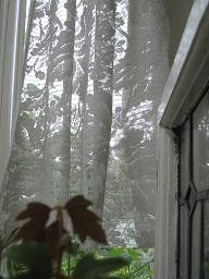 f:id:cangael:20110521092343j:image f:id:cangael:20110521092343j:image