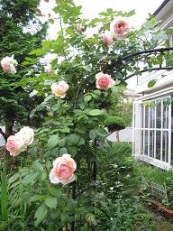 f:id:cangael:20110622062023j:image:right