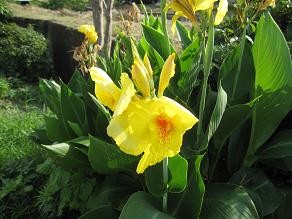 f:id:cangael:20110731162316j:image