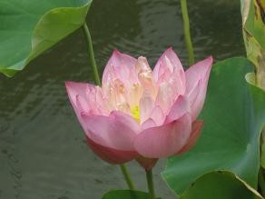 f:id:cangael:20110825113149j:image f:id:cangael:20110825113149j:image